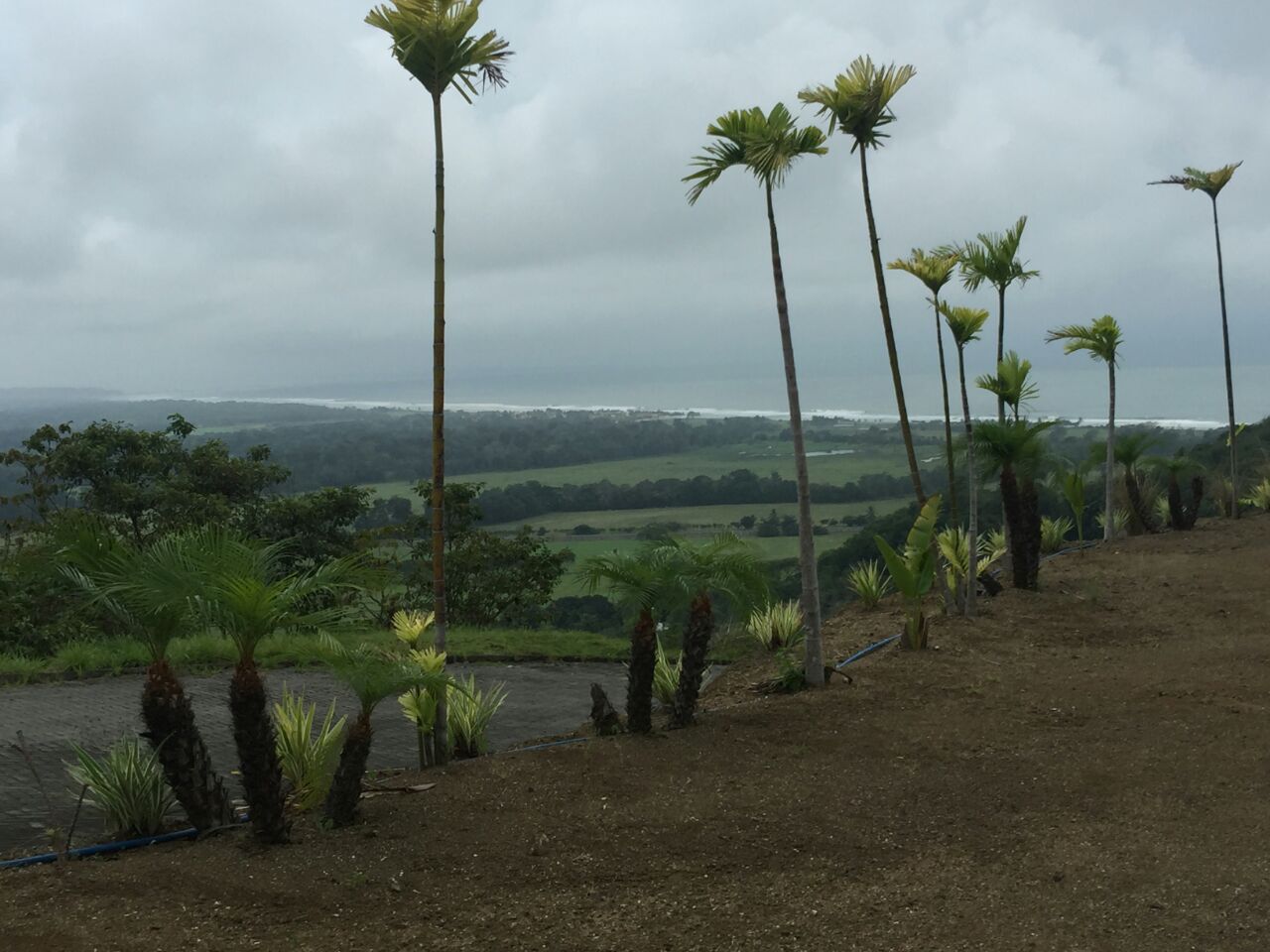 Incredible Pacific Ocean View Hermosa Beach Land in Costa RicaREMAX