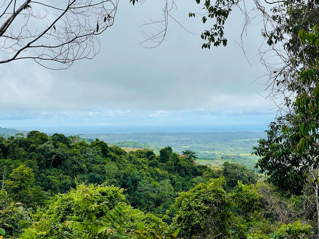 BEAUTIFUL LAND OCEAN VIEW RE/MAX Jaco Beach Costa Rica Real Estate