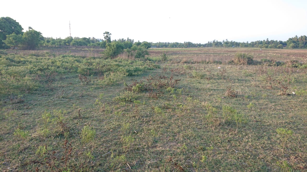 Field land for sale in Point Pedro Re/Max North Realty Jaffna Real
