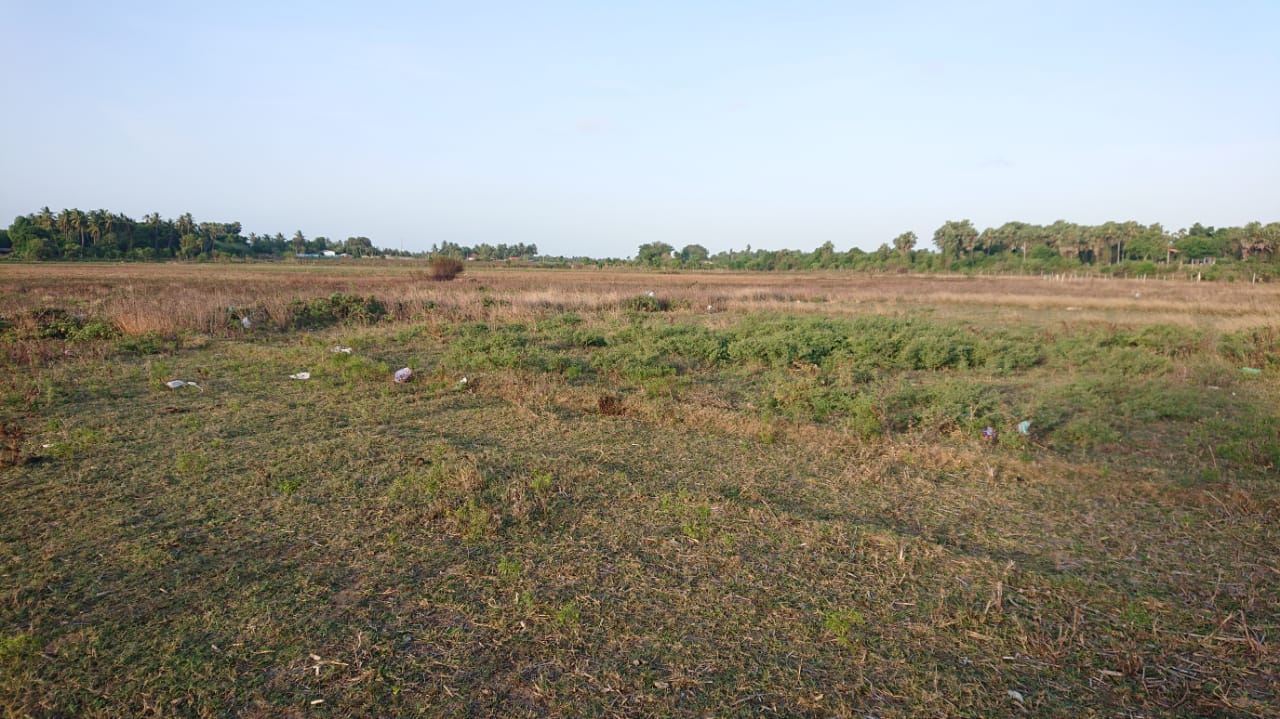 Field land for sale in Point Pedro Re/Max North Realty Jaffna Real