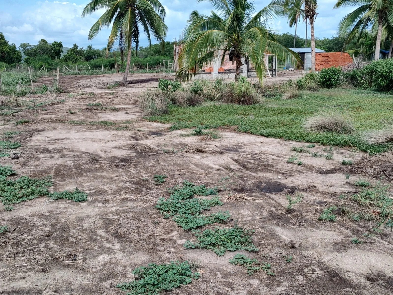 Lote Punta Perula Remax Puerto Vallarta