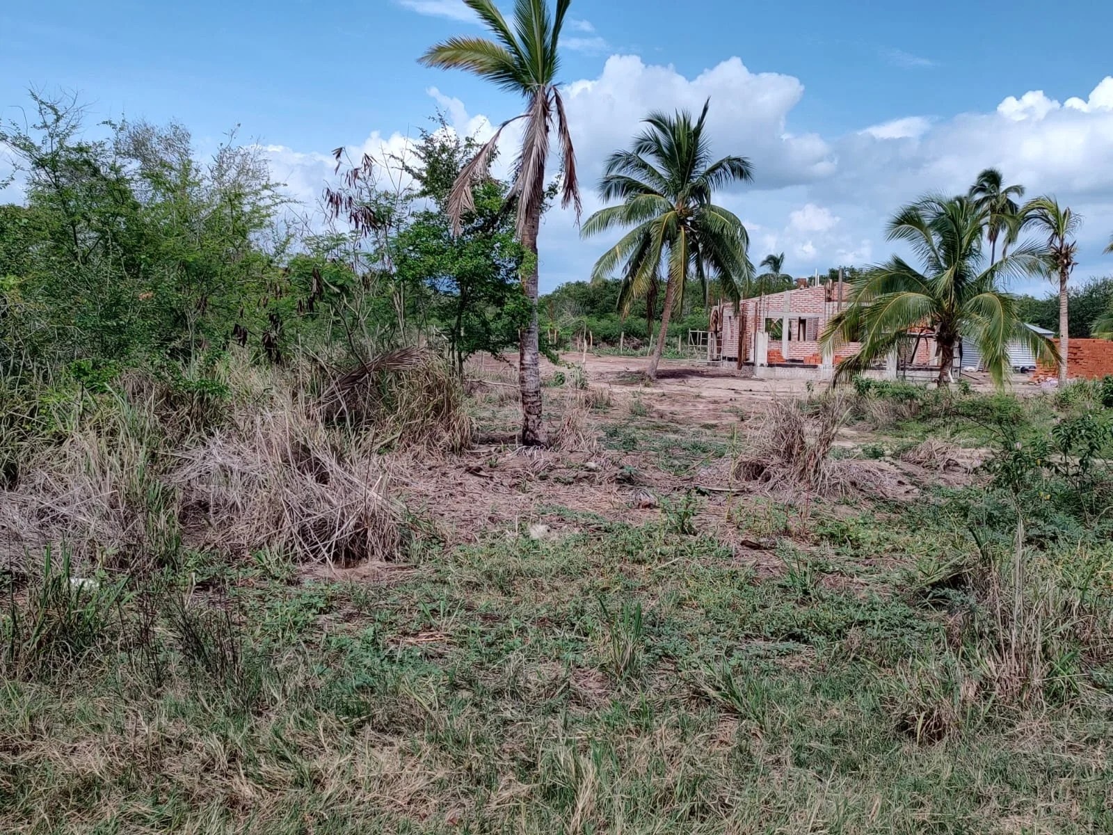 Lote Punta Perula Remax Puerto Vallarta