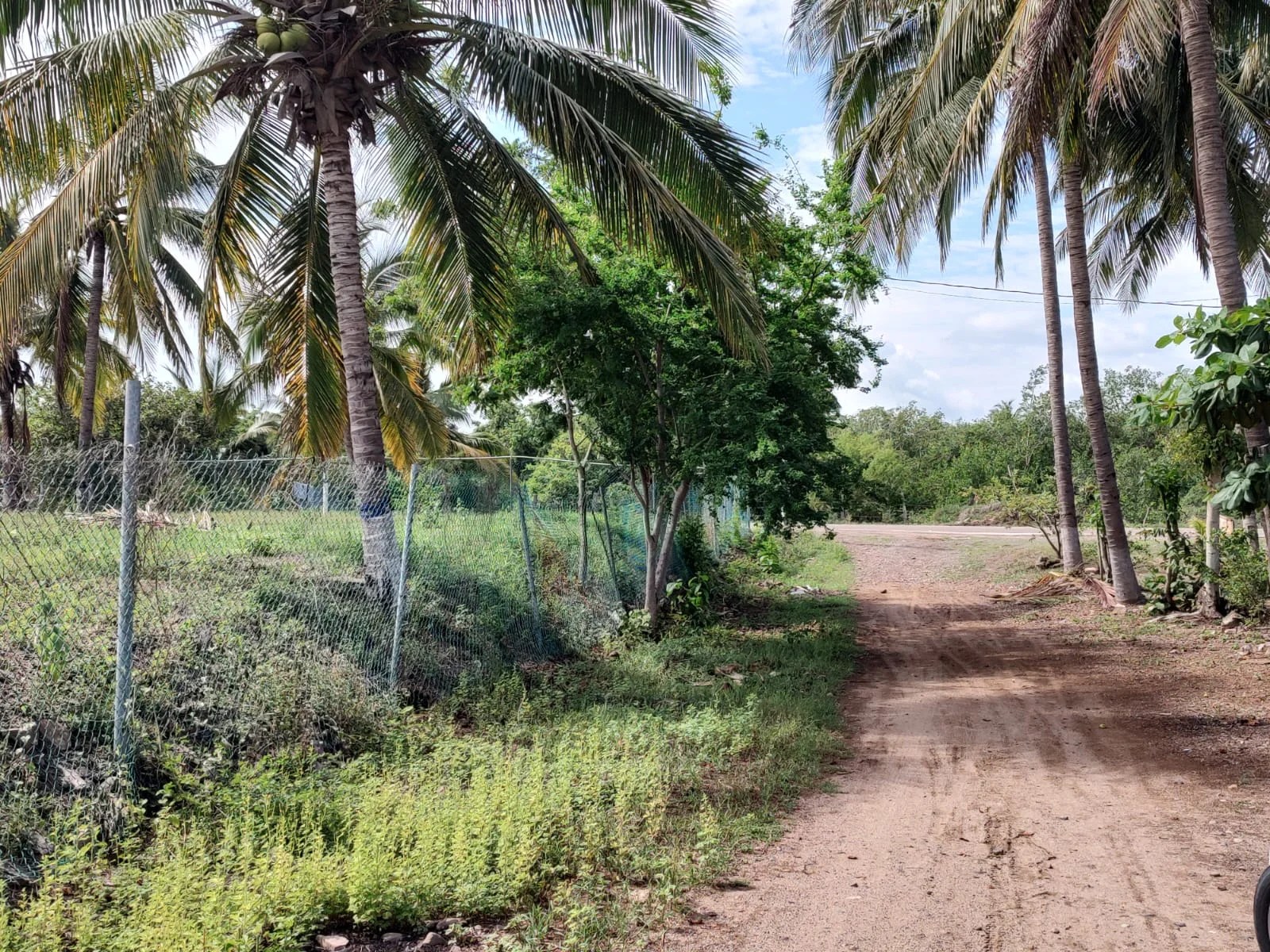 Lote Punta Perula Remax Puerto Vallarta