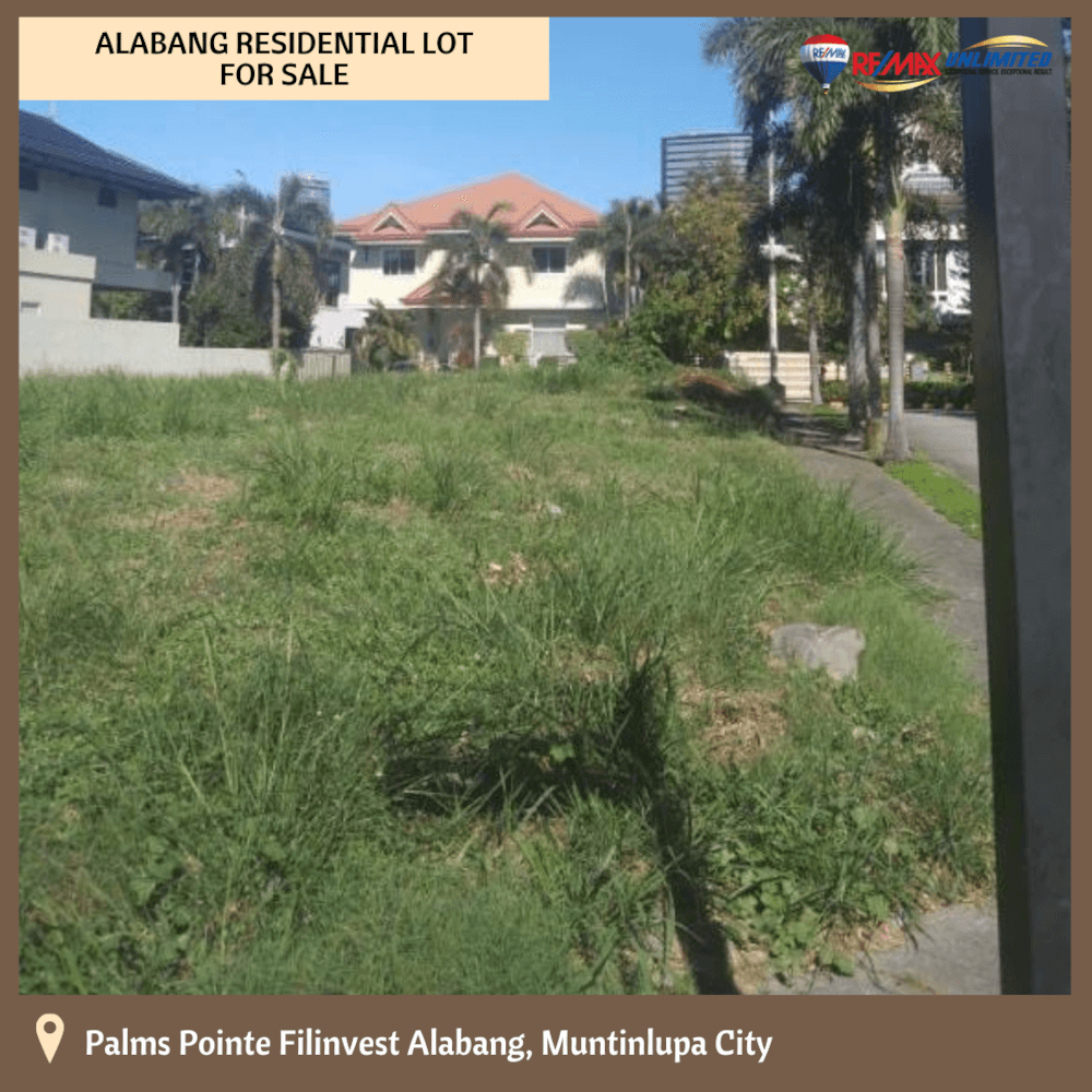 PD0494 Palms Pointe Residential Lot For Sale Remax Unlimited