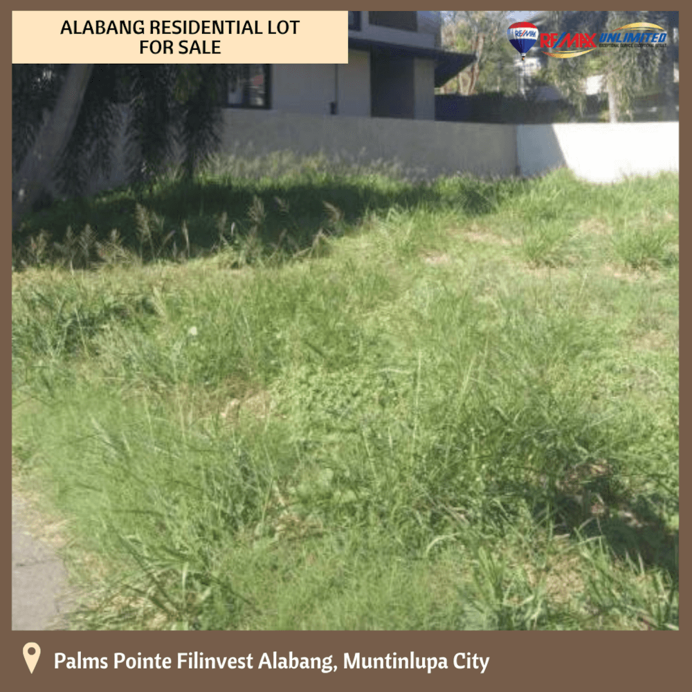 PD0494 Palms Pointe Residential Lot For Sale Remax Unlimited