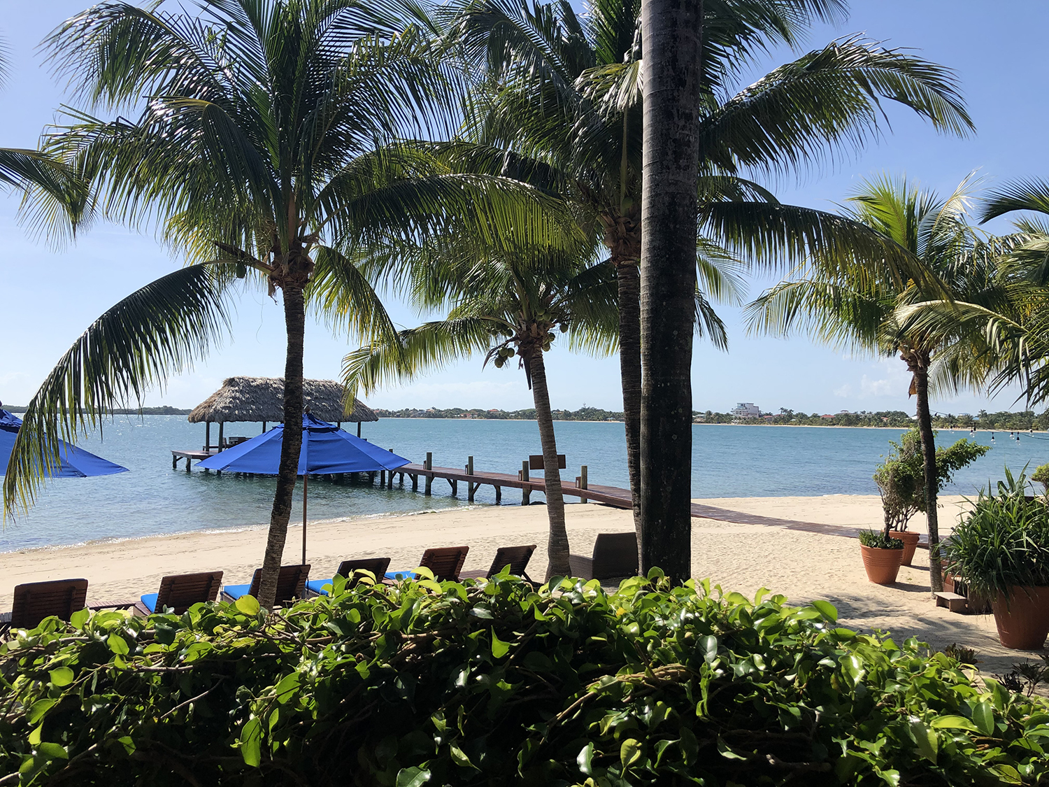 Beachfront Condo In Placencia Village — Remax VIP Belize