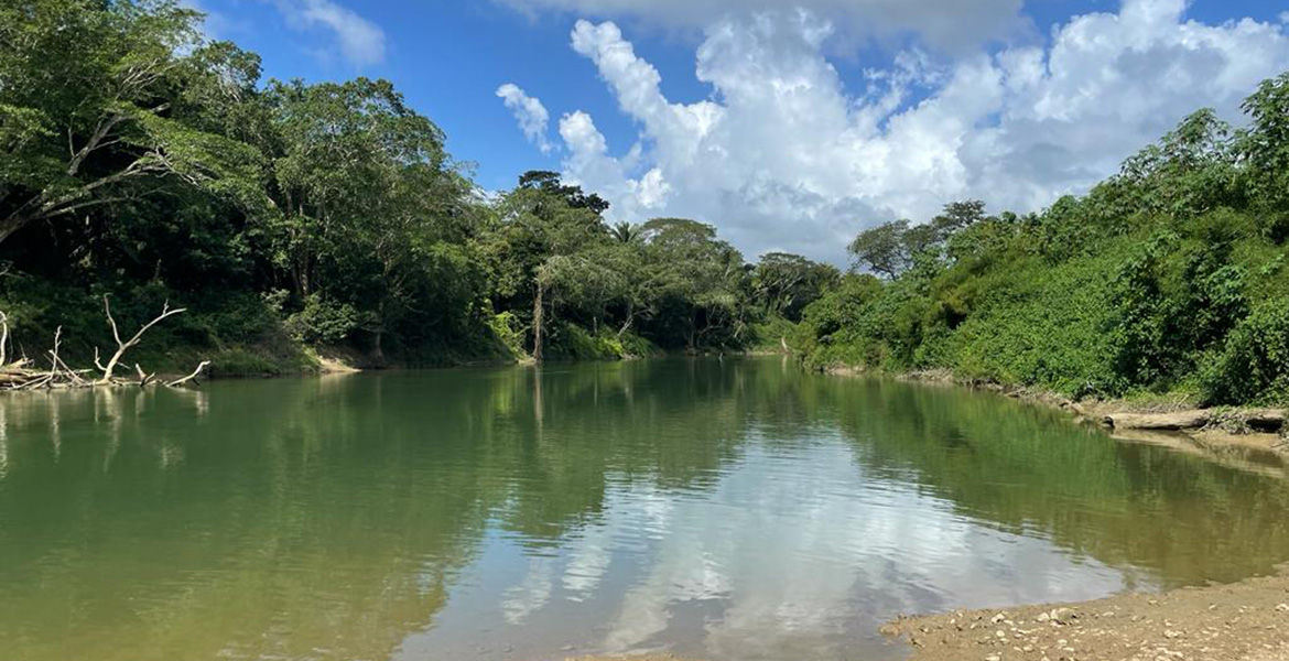 24 & 31 Acre Riverfront Parcels In Mount Pleasant, Near Belmopan