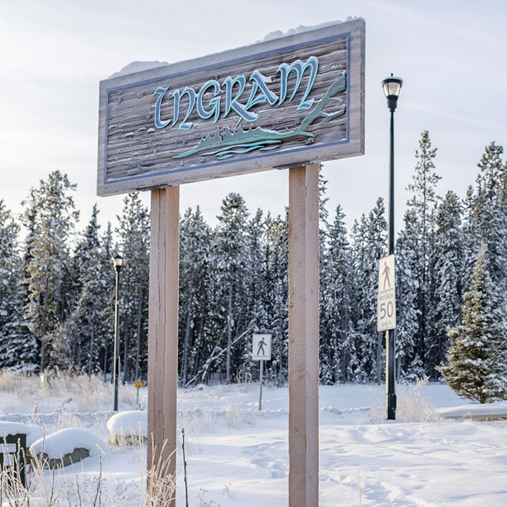 Ingram REMAX ACTION REALTY