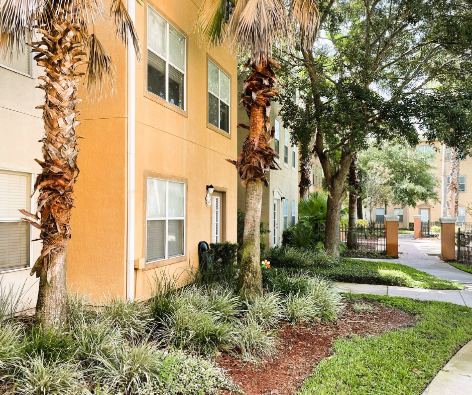 CEO Blog REM Capital REM Capital