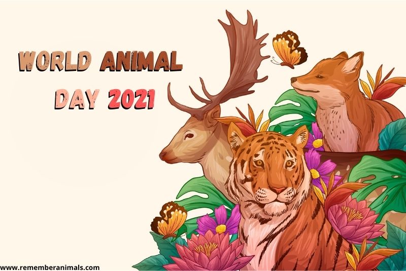 World Animal Day 2021 History and Celebration Remember Animals