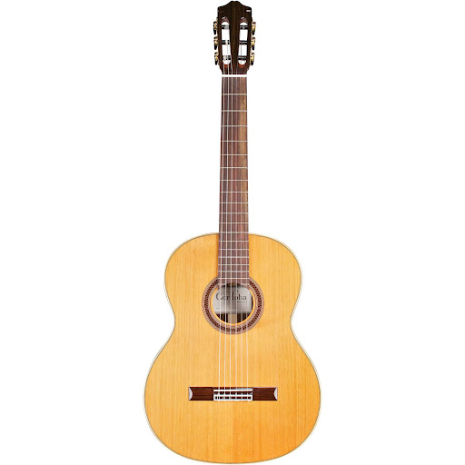 Best Flamenco Guitar Brands (2024 Update) Remix Mag