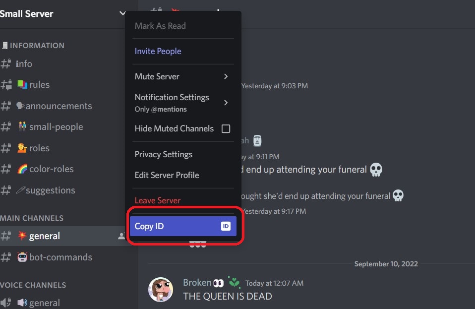 How to report a Discord server?