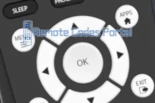 Blackweb Universal Remote Codes & Program Guide [2024]