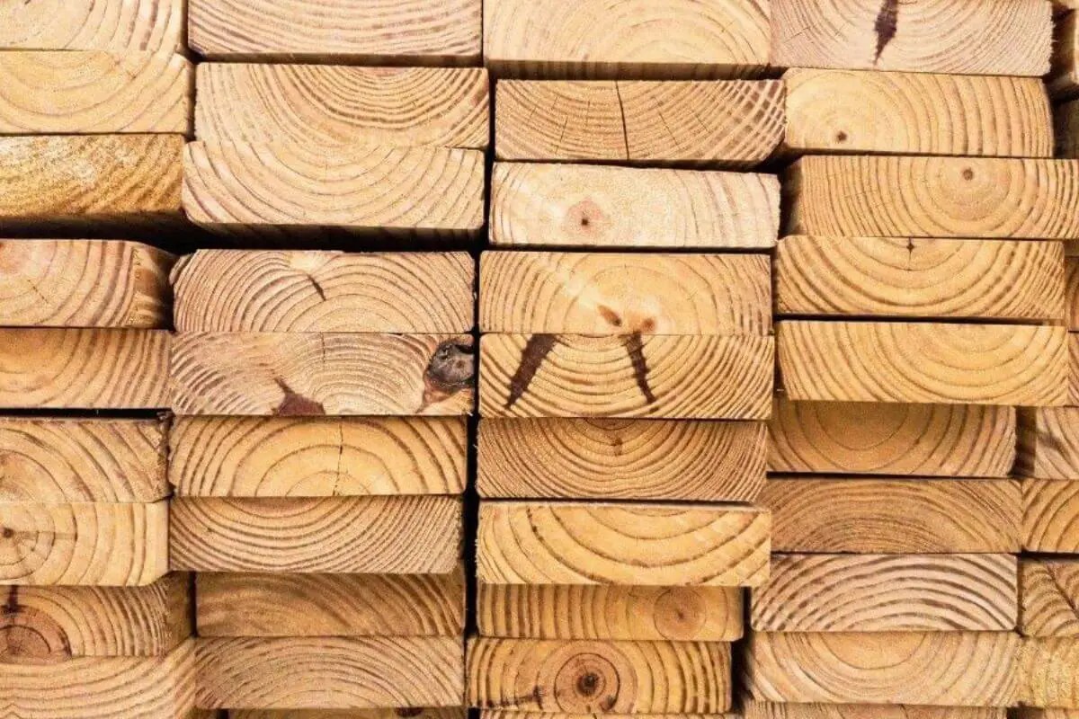 Alder vs. Maple Choosing the Right Wood for Your Woodworking Projects