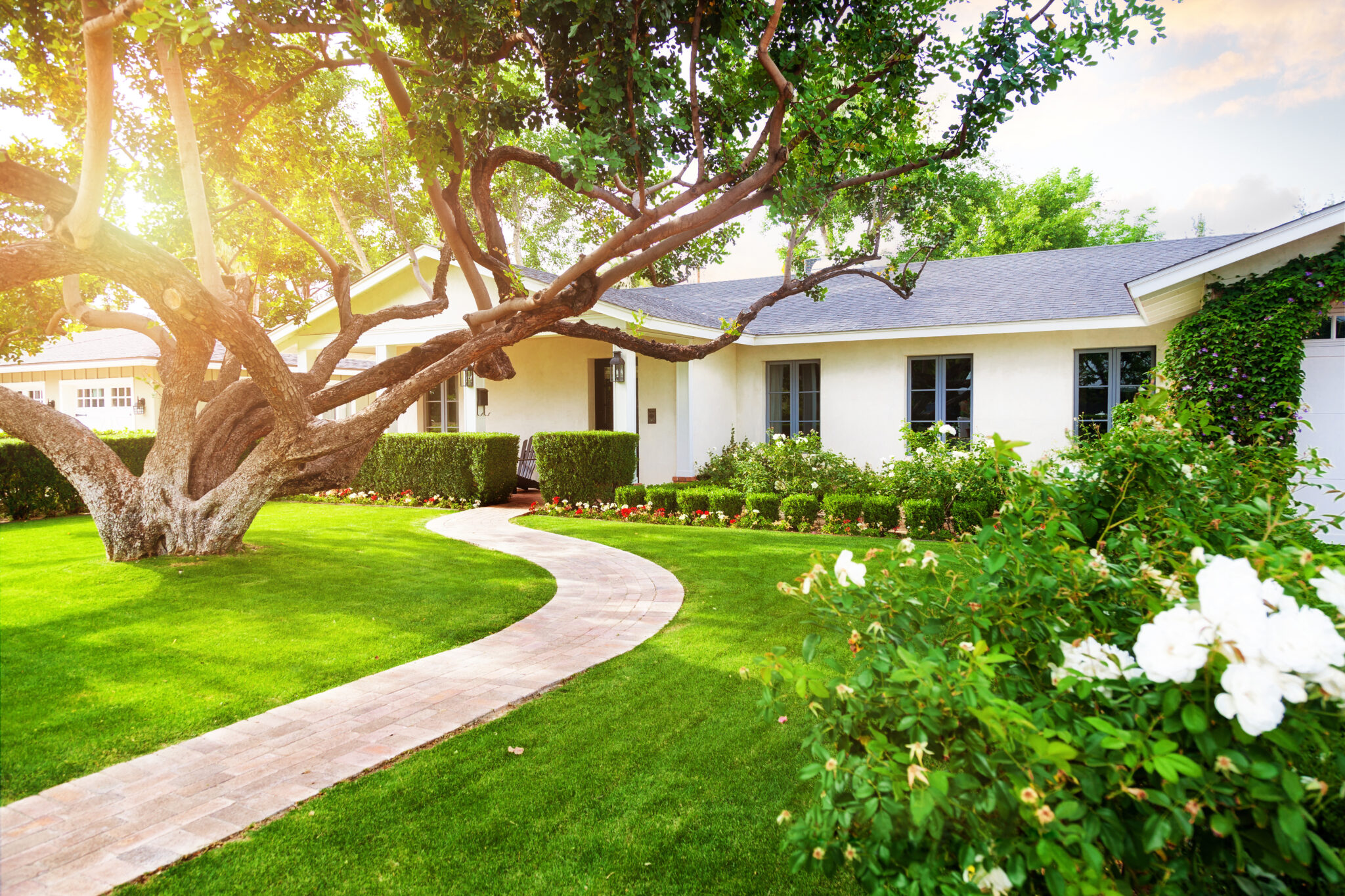 Tips to Help You Choose the Right Tree Service Company Excellent
