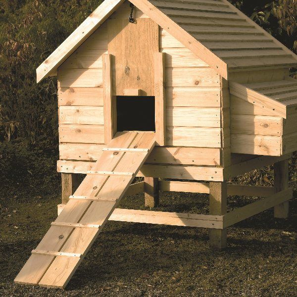 Chicken Coop Ideas Designs And Layouts For Your Backyard Chickens