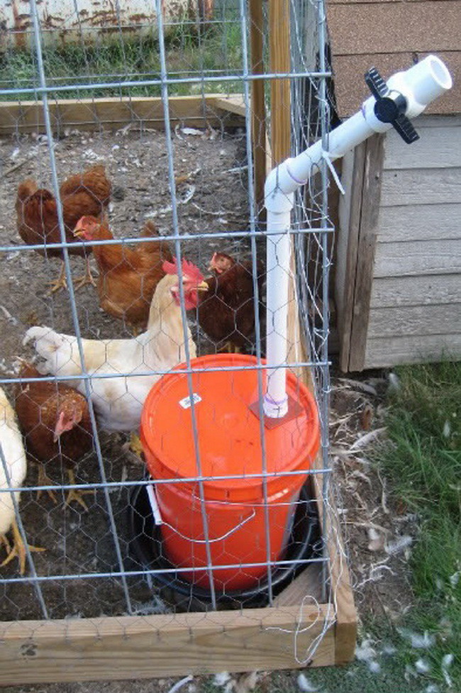 How to make a chicken coop out of pvc pipe Build a Coop