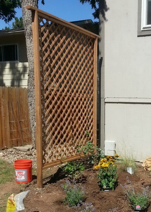 How To Get Added Privacy In Your Backyard By Building A Trellis
