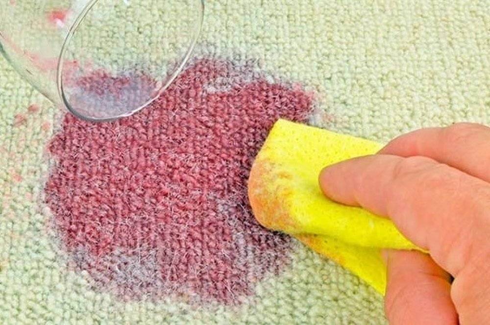 How to get blueberry stains out of carpet » Remove Any Stains