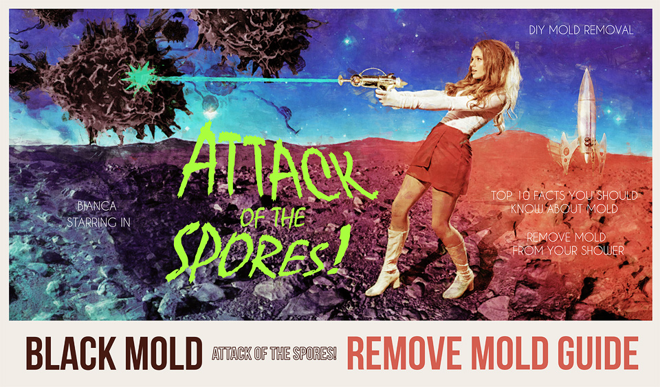 How to Get Rid of Mold Remove Mold Guide Do It Yourself