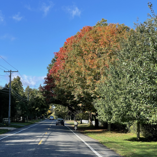 The Remsenburg Association Remsenburg's Community Association