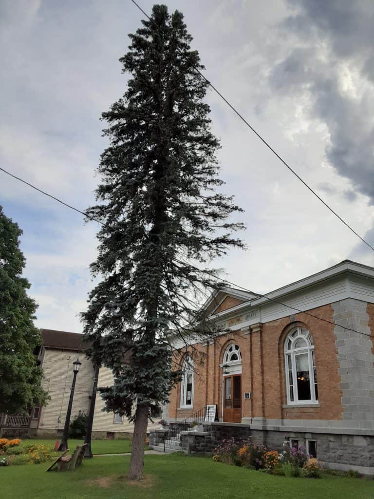 Pictures Didymus Thomas Memorial Library Remsen, NY