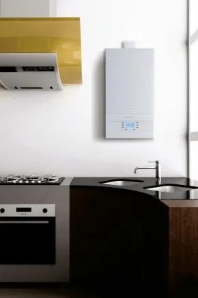 Как использовать и ремонтировать газовые колонки Electrolux?
