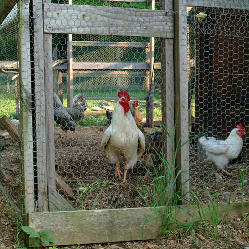 ROCKLAND FARM ALLIANCE