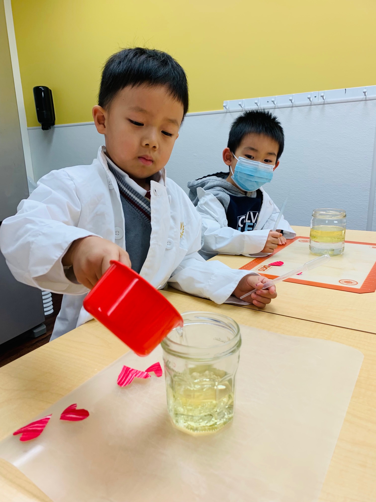 Science Classes for Kids in Richmond Renaissance Kids