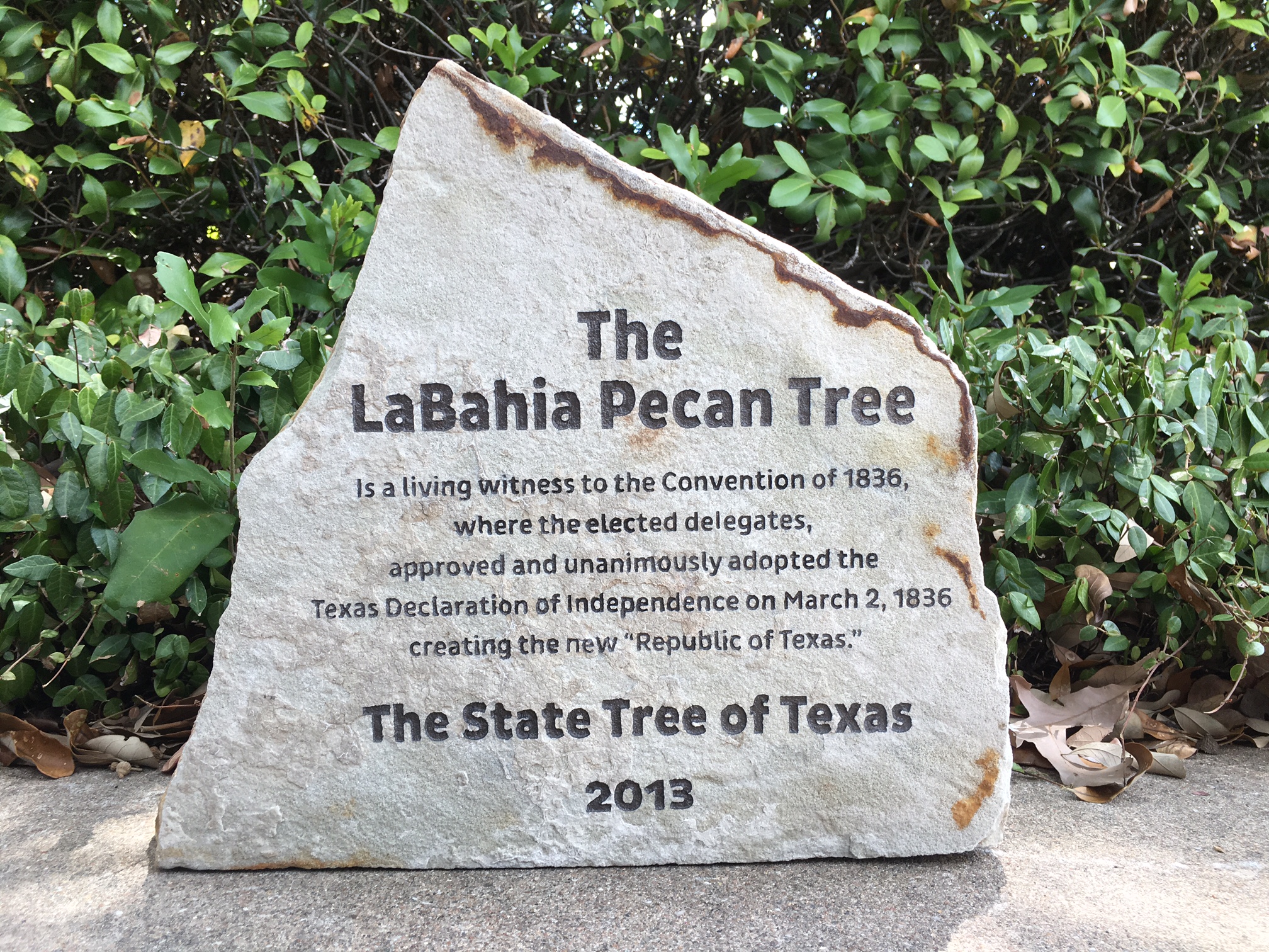 Renaissance Awards & Gifts Austin, TX 78756