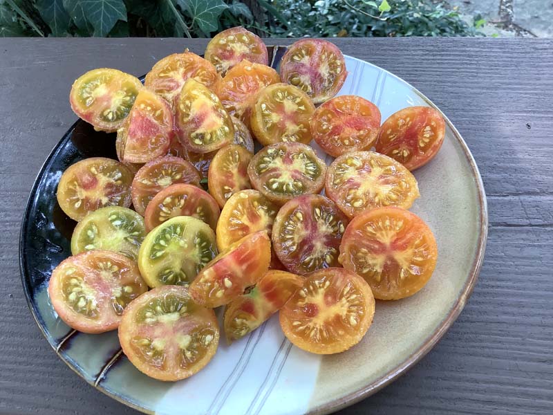 Candy Tomato Renaissance Farms Heirloom Tomato Seeds