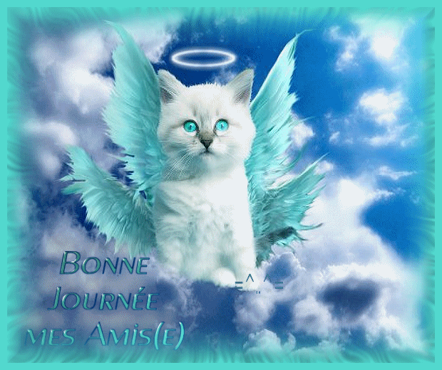 nouvelles rencontres Page 7