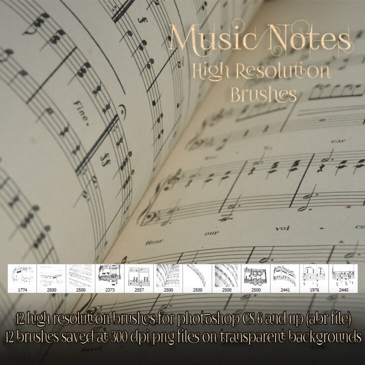 Music Notes Brushes RenderState