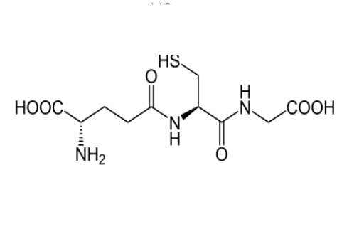 Health Benefits of LGlutathione Properties & Uses