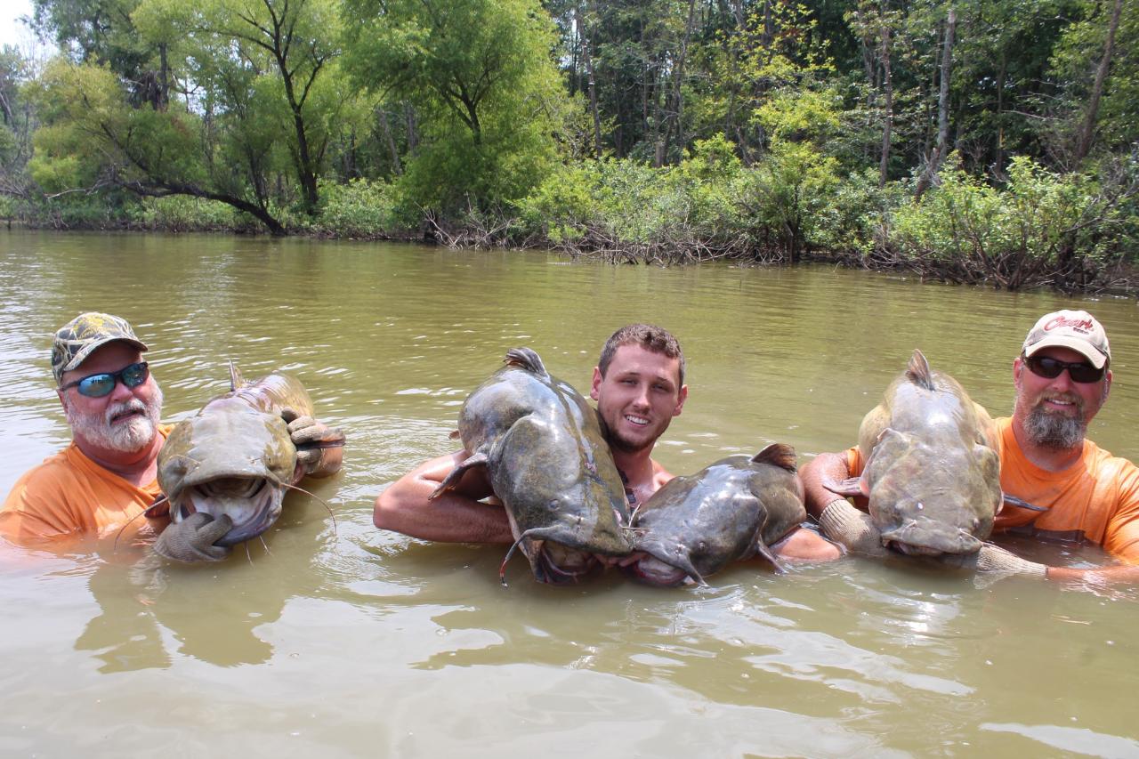 Rend Lake Catfish Guides Rend Lake Catfish Guides