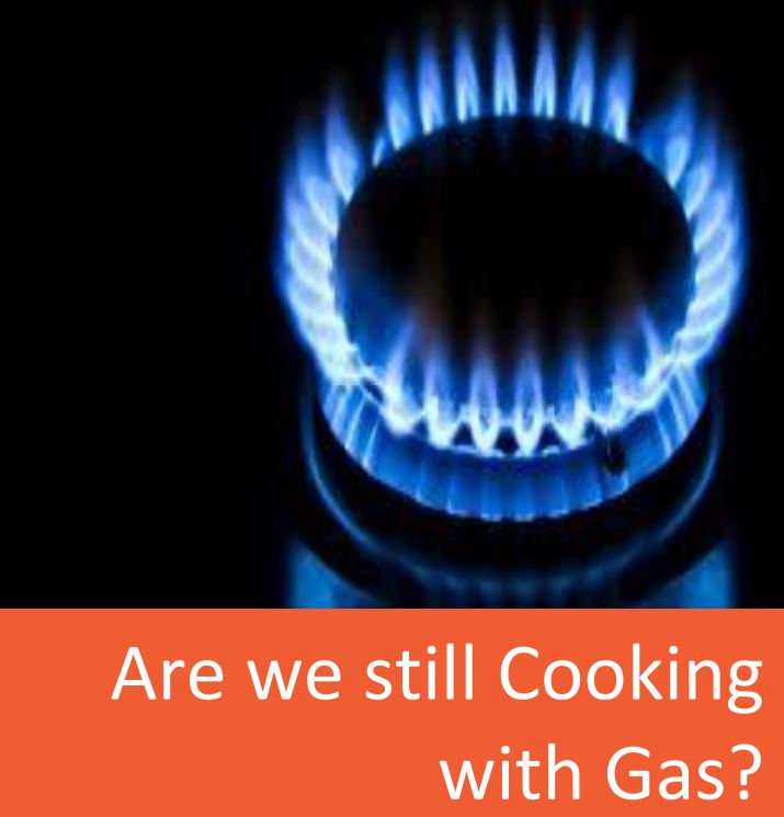Economics of gas/electric appliances Renew