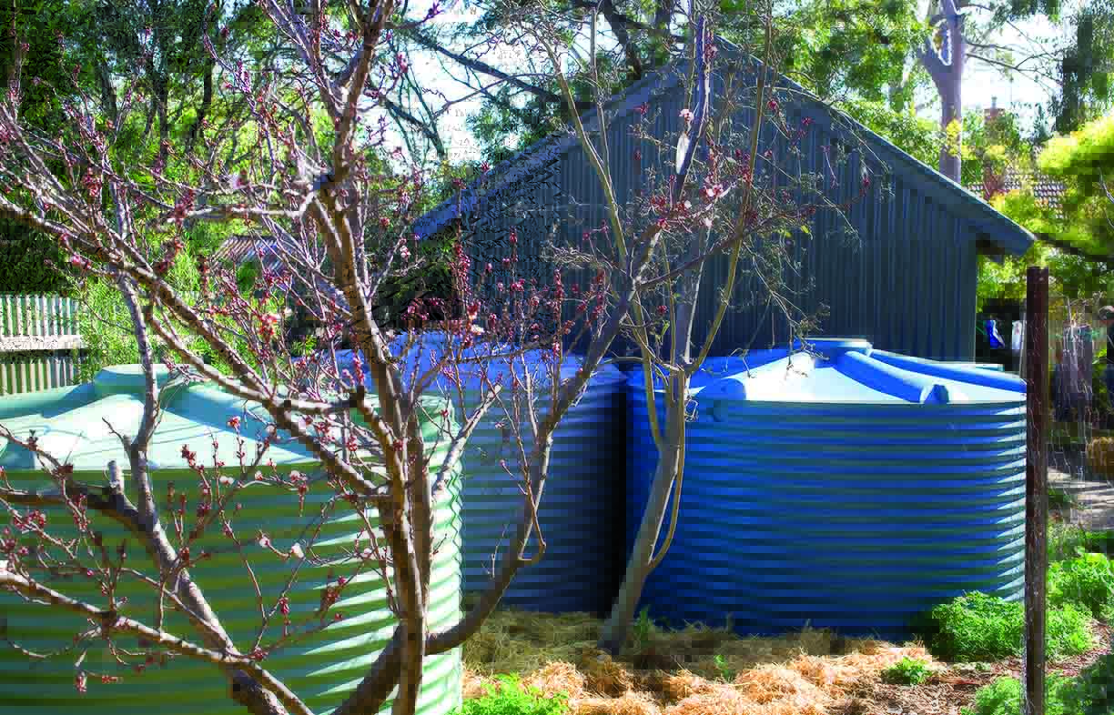 Getting rainwater collection right Renew