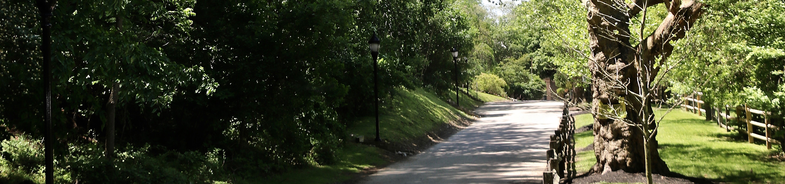 Our Staff The Renfrew Center