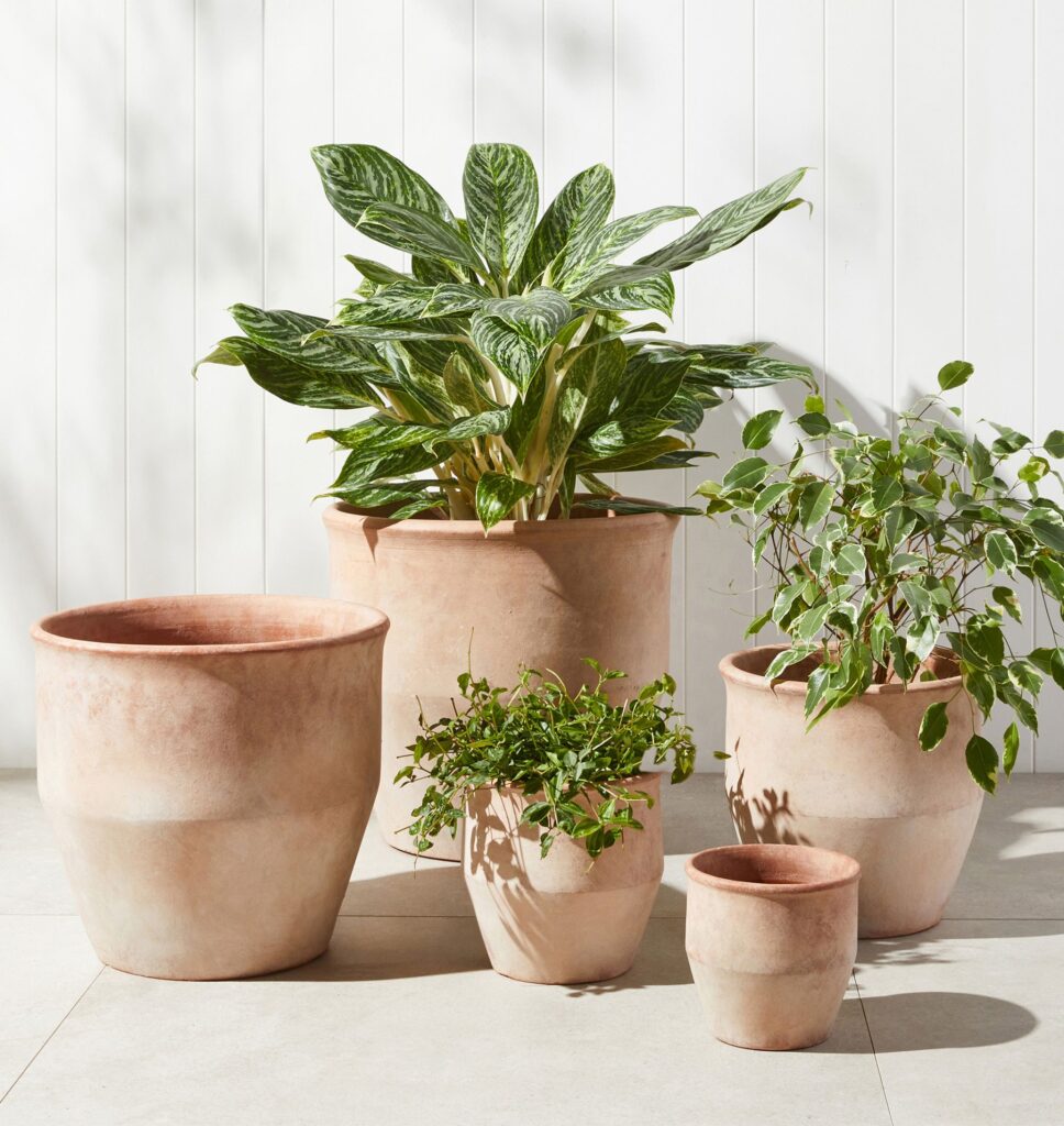 Decorative Indoor Flower Pots for the Stylish Plant Addict