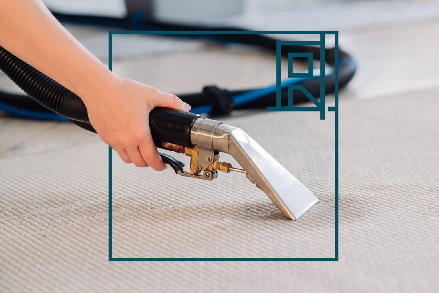 How to Clean Carpet Renovated