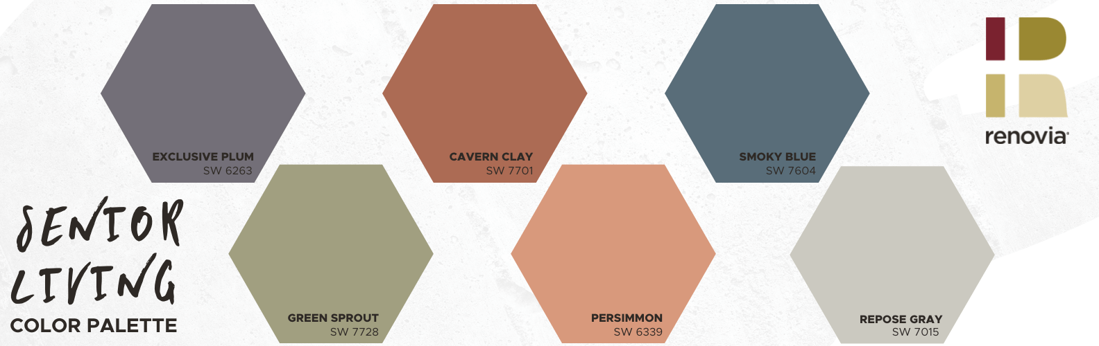 Senior Living Color Trends + Color Visualizer Renovia