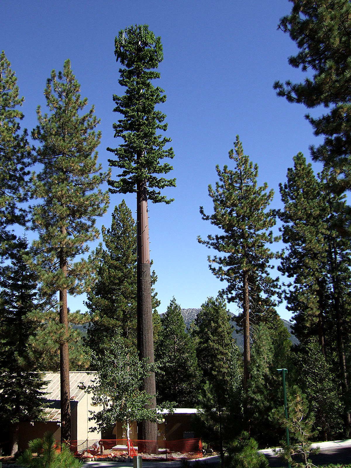 New Verizon Cell Site in Incline Village