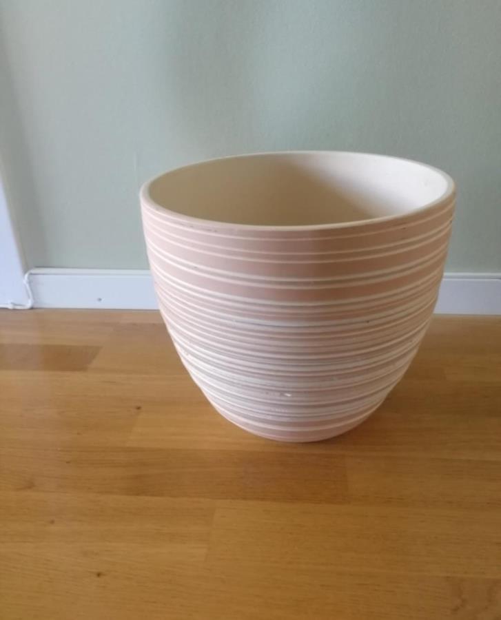 Ytterkruka Stor Ytterkruka stor bortskänkes Stockholm