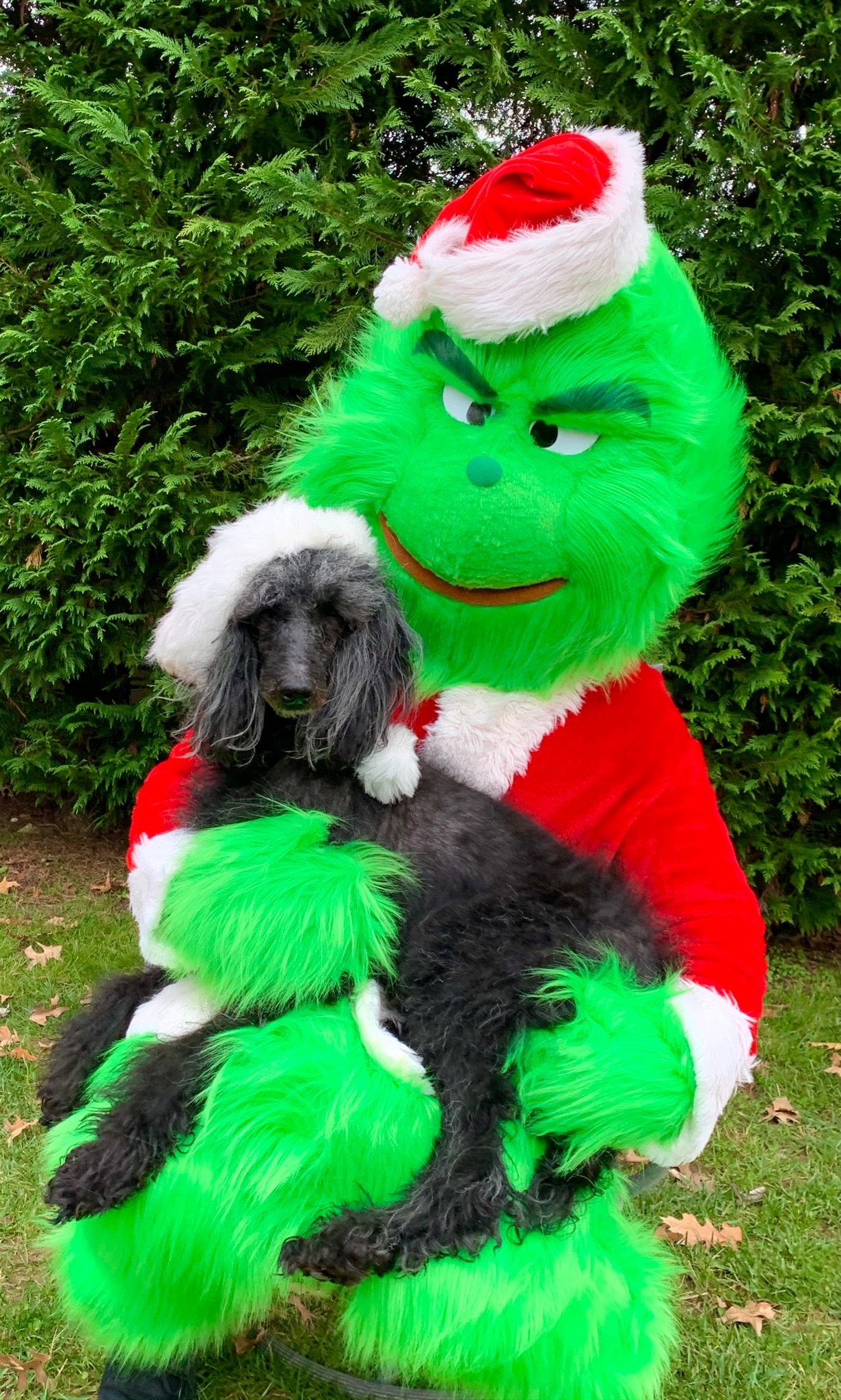 New Jersey, NJ Birthday Party Characters, Princess Parties, Superhero