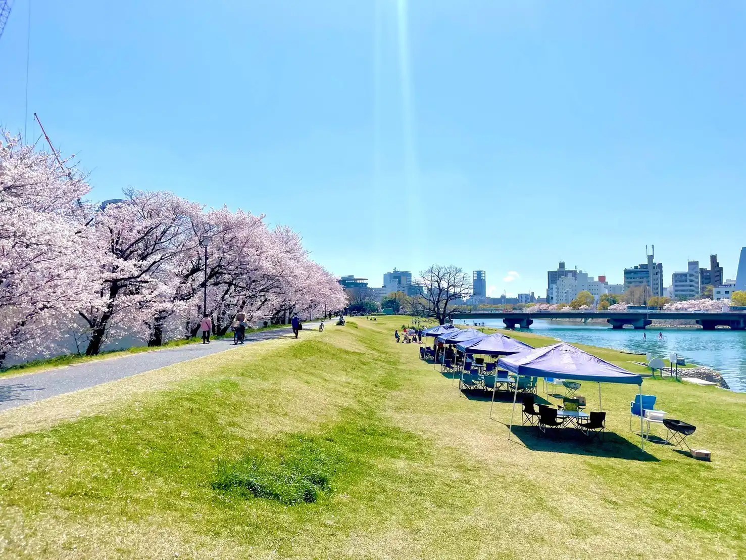 広島中央公園河川敷（エディオンピースウィング横） 広島レンタルバーベキュー