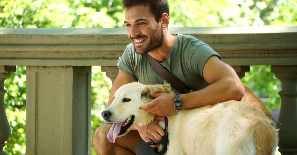 Is a Landlord Responsible for Tenants' Barking Dogs?