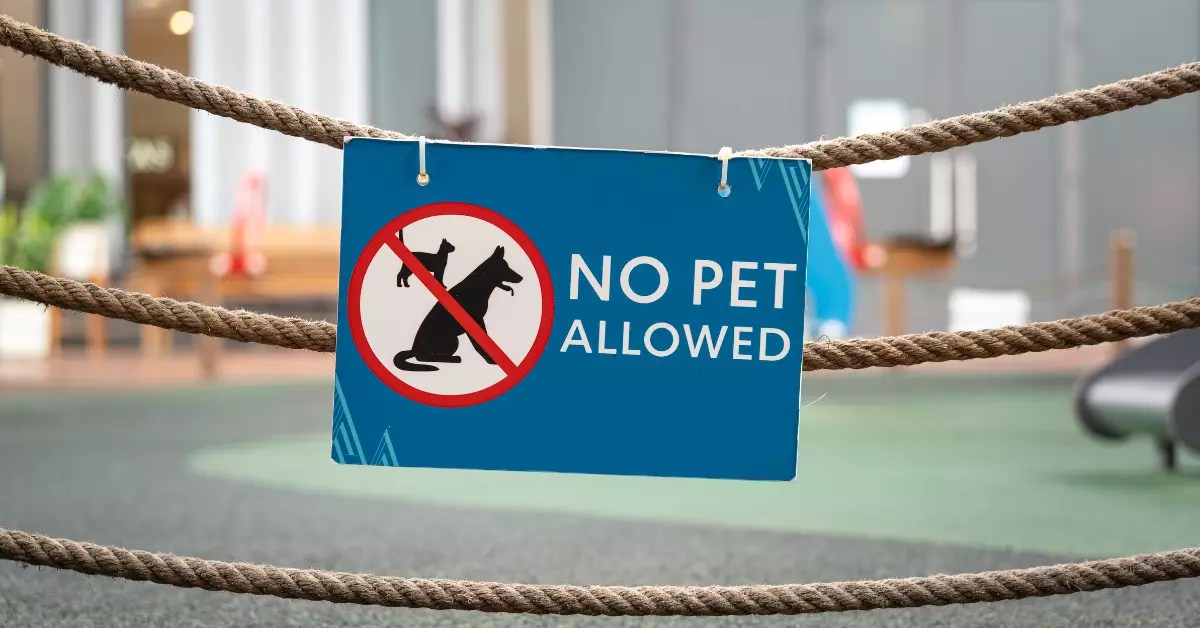 Can Landlord Forbid Pets Netherlands? Rental Awareness