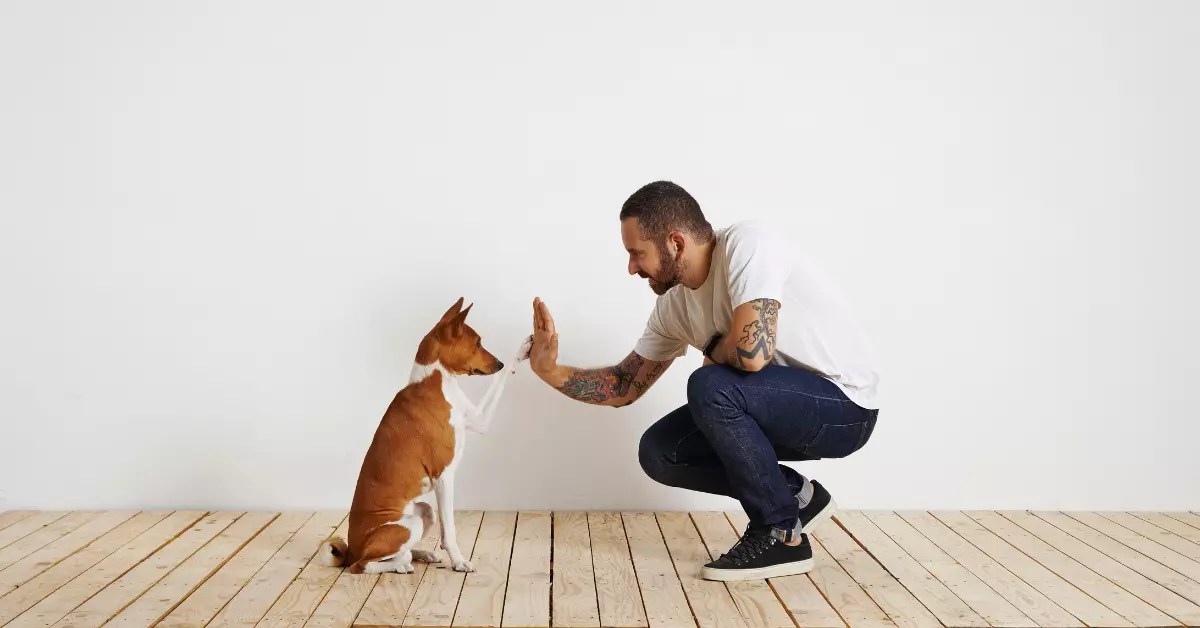 Is a Landlord Responsible for Tenants' Barking Dogs?