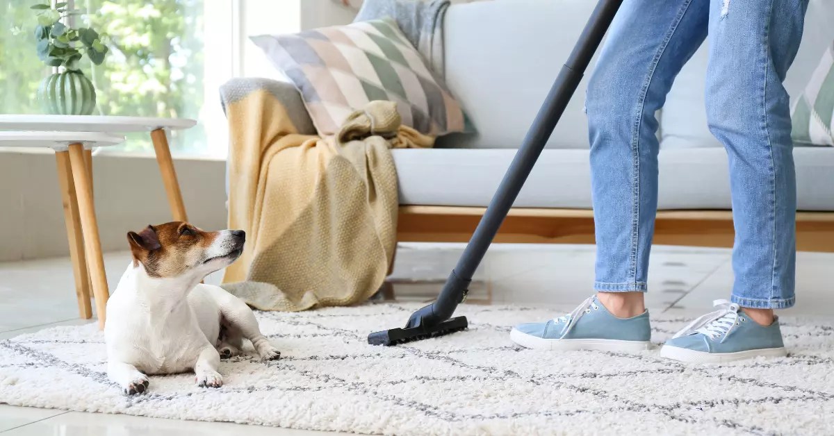 Checklist Do Tenants Have to Clean Carpets When Moving Out?