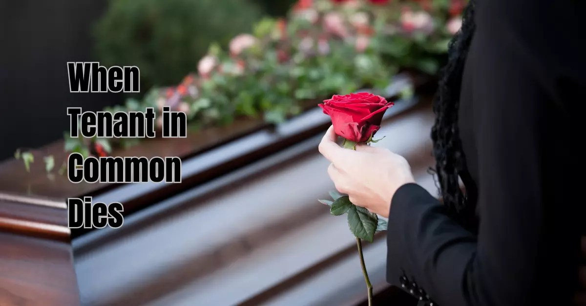 When Tenant in Common Dies? Navigating Inheritance Rights